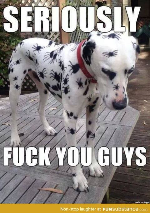 Poor doggy :c