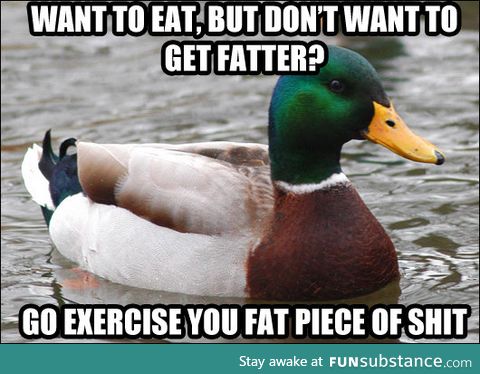 Advice duck