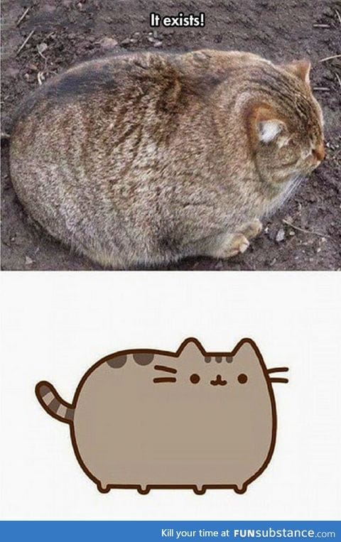 The real pusheen