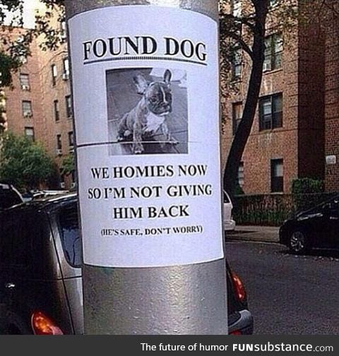 Found your dog