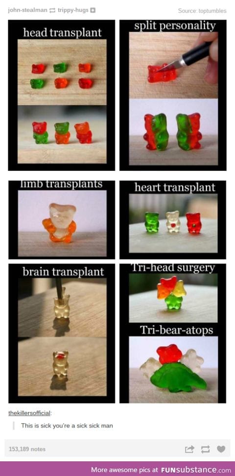 Gummy bears fusion