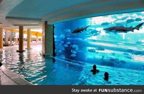 The pool-aquarium