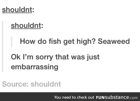 what the fish