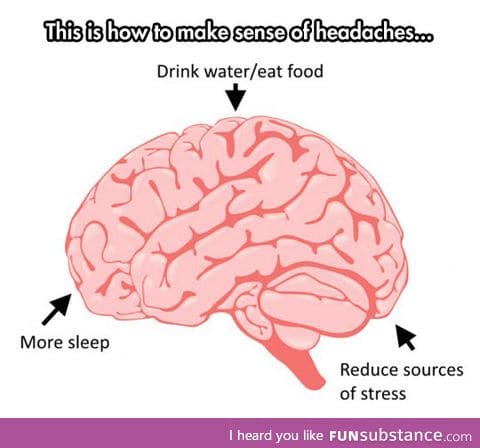 Sources of headaches