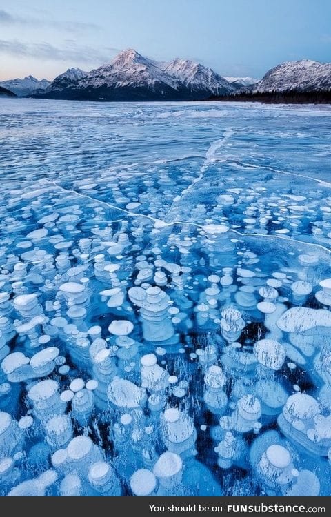 Bubbles of methane in a frozen lake