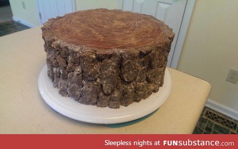 Cake a daughter made for her lumberjack dad