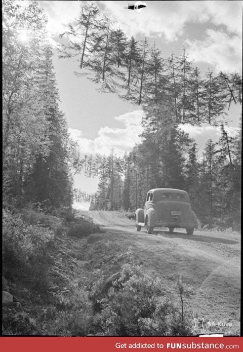 A camouflaged road in Finland during WW2