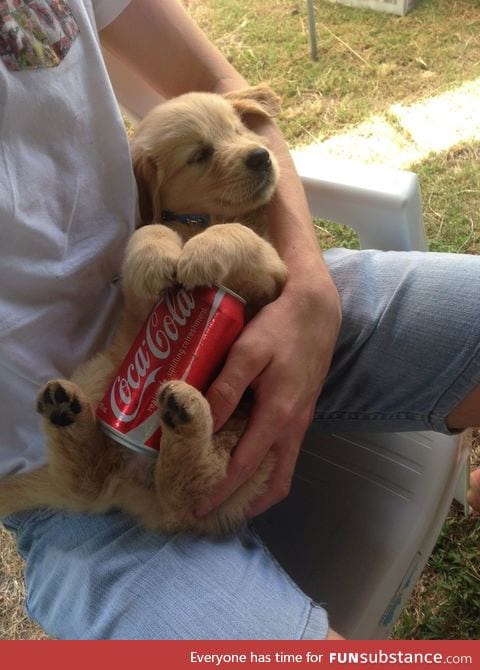 Ice cold can on a warm belly