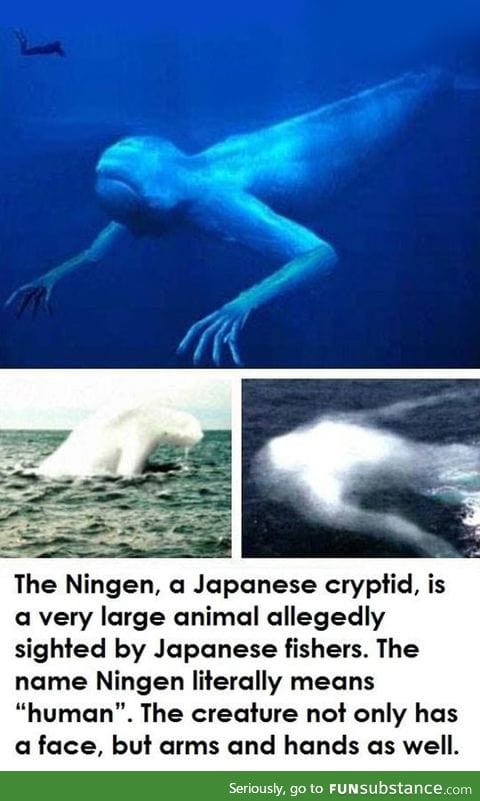 Probably real life mermaids?