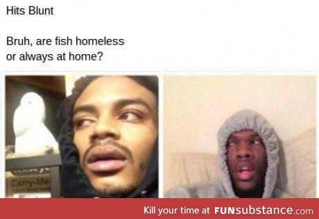 Do fishes have homes?