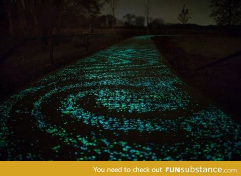 Glow in the Dark Bicycle path inspired by Van Gogh's Starry Night