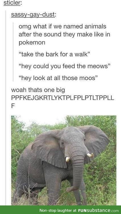 Naming animals differently