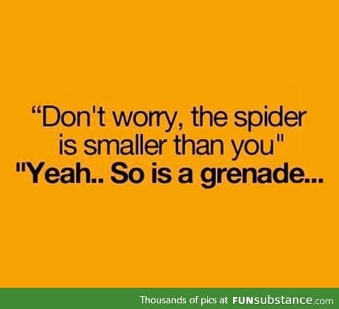 Spiders and Grenades