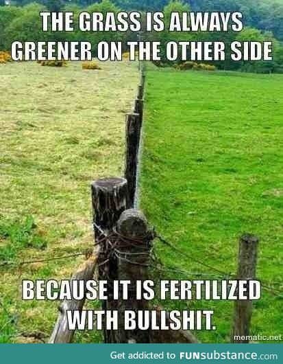 The grass is greener