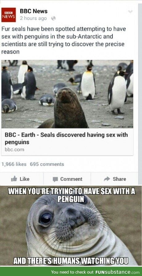 We need sealguins