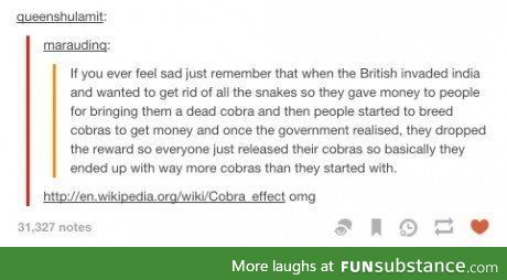 The cobra effect