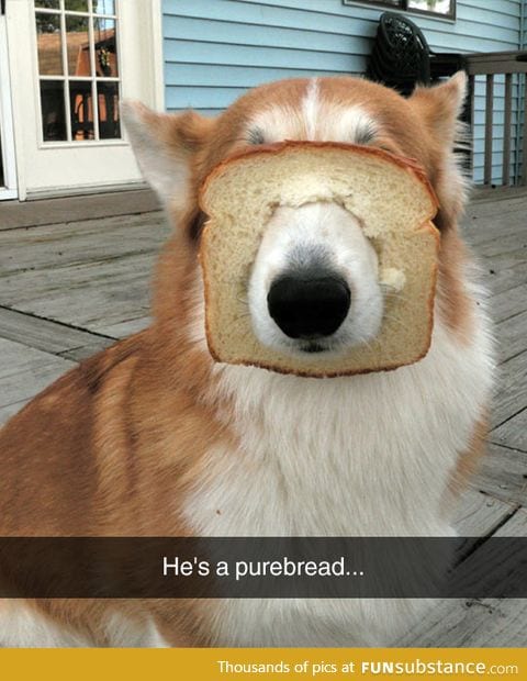 He looks inbred to me