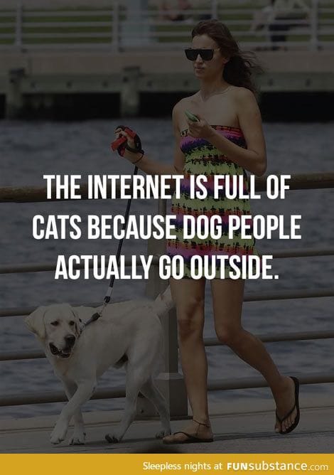 Why the internet is full of cats