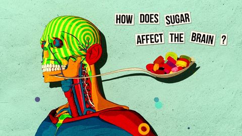 How does sugar affect our brains?