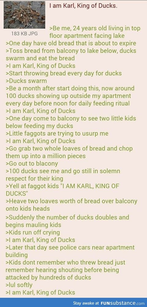 Karl king of ducks