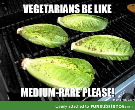vegan steaks
