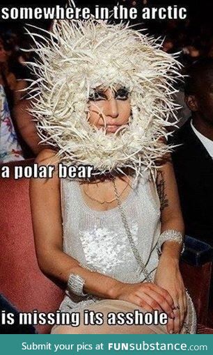That poor polar bear