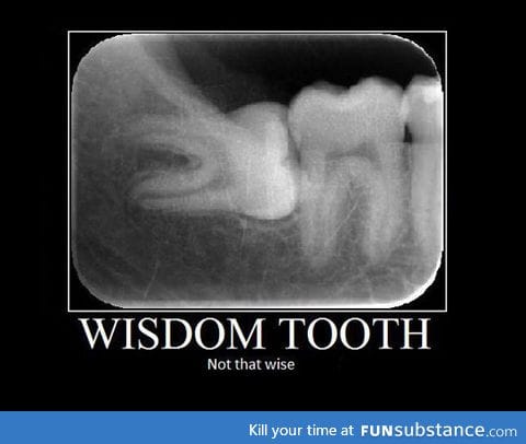 The Wisdom Tooth