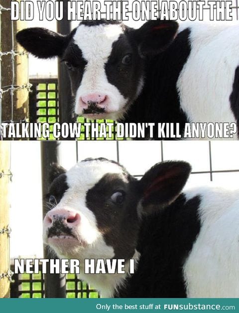 Evil Cow know where you live!