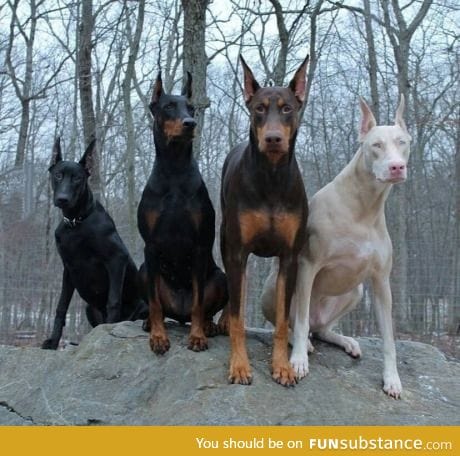 Guess which one is named Eminem?