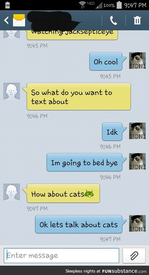 Talking About Cats Instead Of Going To Bed 'Cuz Priorities
