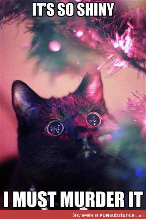 Tis the season for cats in Christmas trees