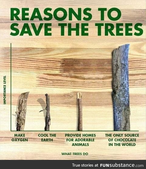 Reasons to save the trees