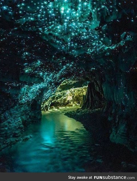 Glowworm Cave in New Zealand