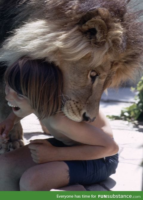 Living with a Lion