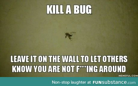 Kill a bug...