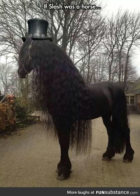 If Slash was a horse