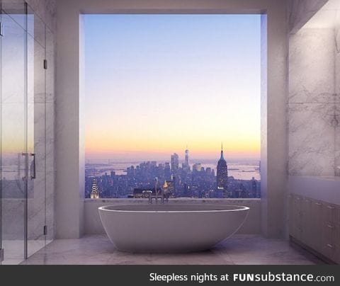 View from the bathroom of a 95 million dollar NYC apartment