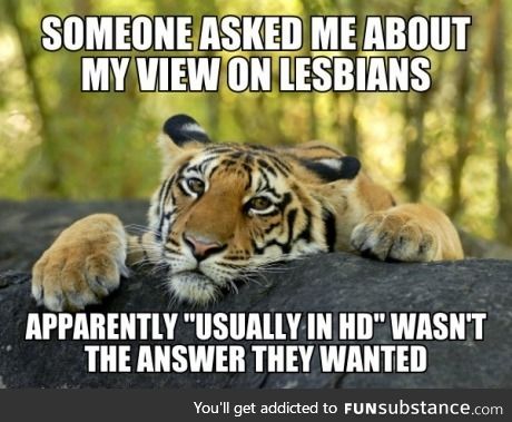 My view on Lesbians