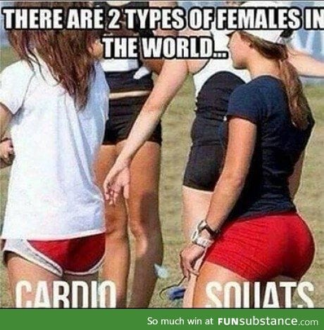 There is a third type of female: Fat girl in Yoga Pants