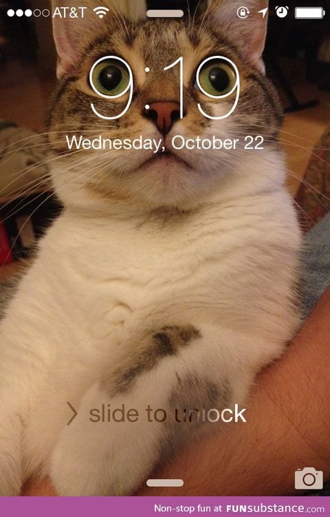 My lock screen is purrfect for two minutes a day