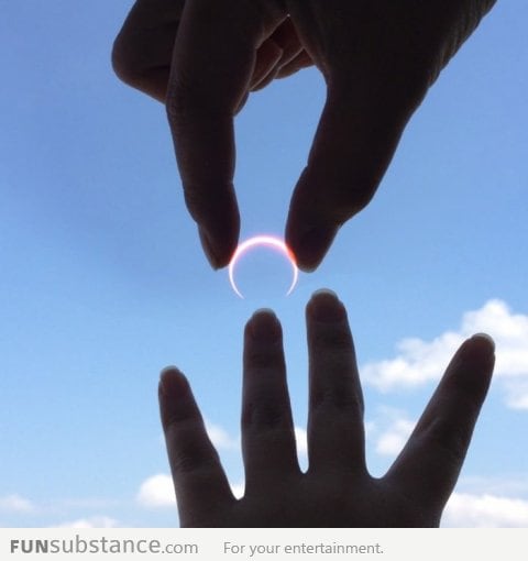 Coolest way to propose