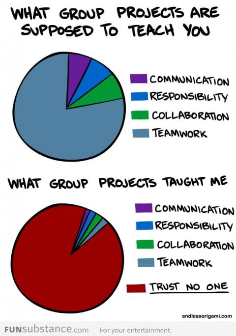 What group projects thought me