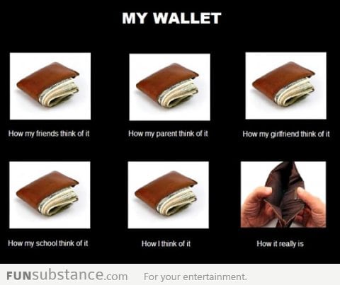 My Wallet's Situation