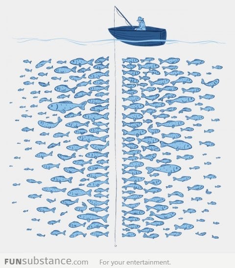 There are plenty of fishes in the sea