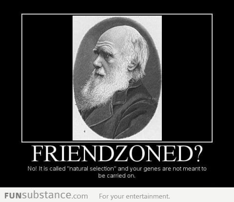 Friendzone as explained by science