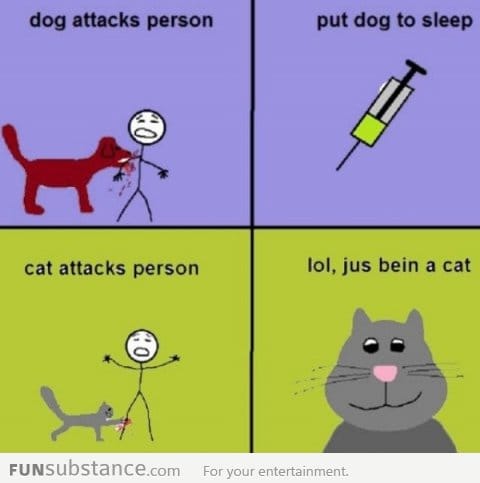 Cats Vs Dogs