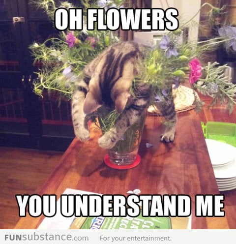 Oh flowers...