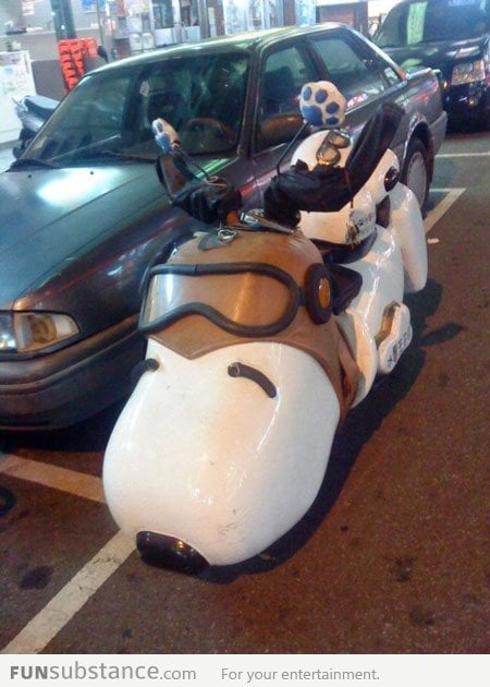 Snoopy Bike