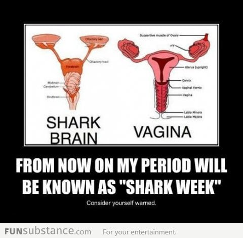 Shark Week