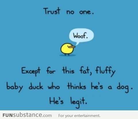 Only trust this duck